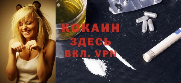apvp Алексин