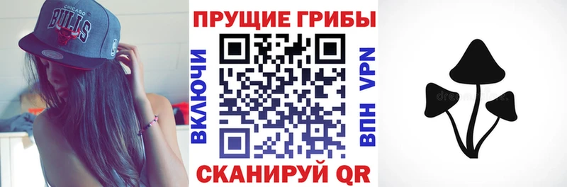 купить  сайты  Навашино  Псилоцибиновые грибы Cubensis 